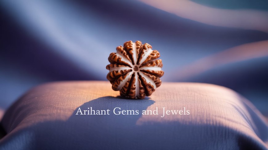 8 Mukhi Rudraksha Benefits, Uses & Buying Guide – Arihant Gems and Jewels