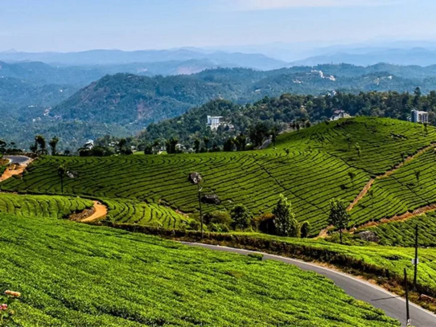 Best Munnar Tour Packages for Families and Couples