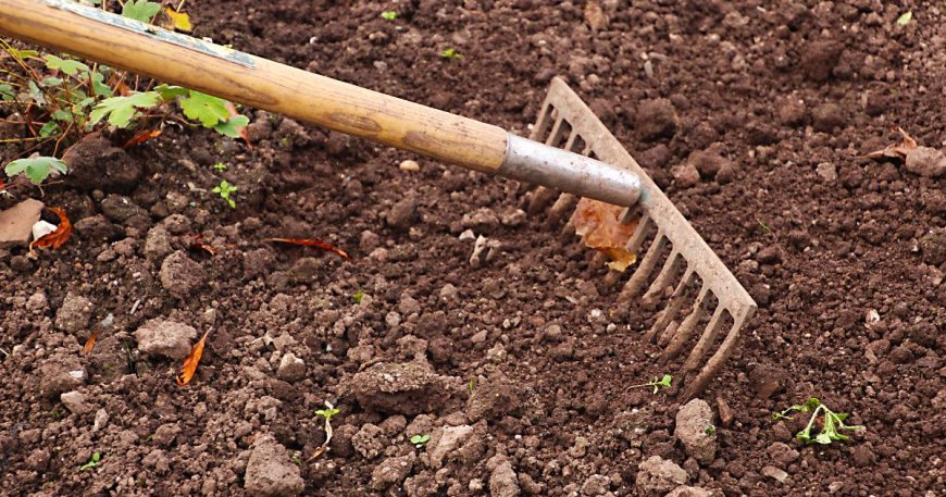Smart Outdoor Planning: Why Good Landscaping Matters in Auckland