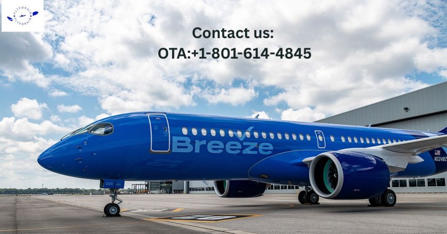 How Do I Speak to Someone at Breeze? Real Results Are Here!