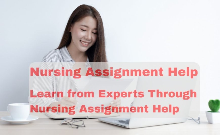 Learn from Experts Through Nursing Assignment Help