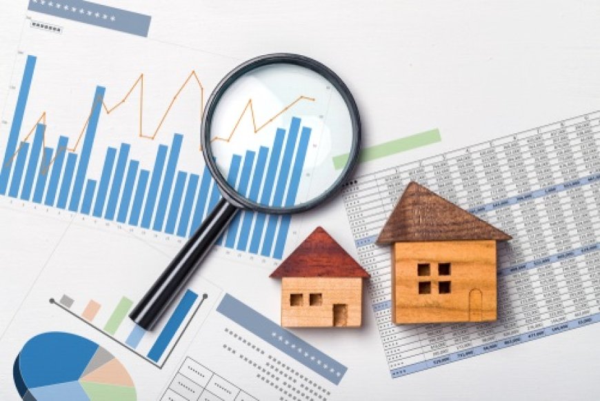 Why You Need a Professional Rental Website Development Company in the USA