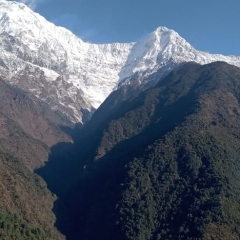 Sherpaexp